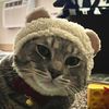alinasyeda_