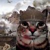 catjoy223