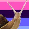 gastropod_enthusiast