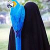 rahmamohammed763