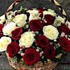 arslan.975