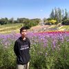 .golfso12345