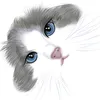 .__.nekko
