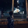 duongvu_z10