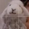 nashiko_kssskos