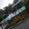 bilqna19
