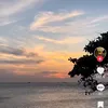 trangthuyh85