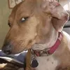 ykjustscrolling