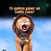 saul_javiercampos