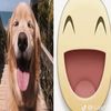 skibidiawesomesauce11
