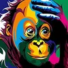 blaumonkey