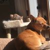 jackandluna