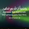 abdirahman_nr10