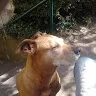 pooshkathebest