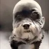 mister_ducky1