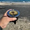 bichitodelozzz