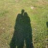 marg_447