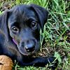 charliebear1228