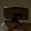 your_average_sparrow