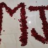mjsikandar1414