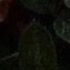 ktoo_too0