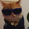 subhantancode