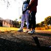 savageking97