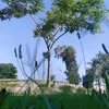 tz21204111tz