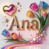 anabautista103