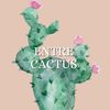 entrecactusmx