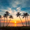 vn_photolife