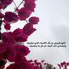 asma_.17