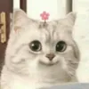jazzmeow_
