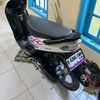 wd_439