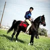 reda.1999