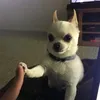 tr_ttai