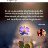 anhtainhaque