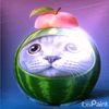 user4kn60wqdz7