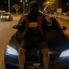 lioncar123