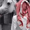 abod_5og
