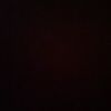 favio_166