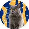 catmango