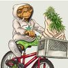 hokage_4201