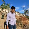 dan_sxz2