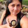 chacaranativa