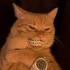 quandavious_binglebottom