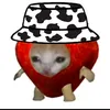 drug_idiota