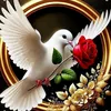 Hassan Atbir