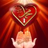 habib6871
