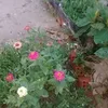 user78630833